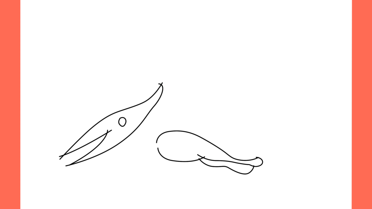 Tutoriel de dessin 112 Comment dessiner un Pteranodon (5)