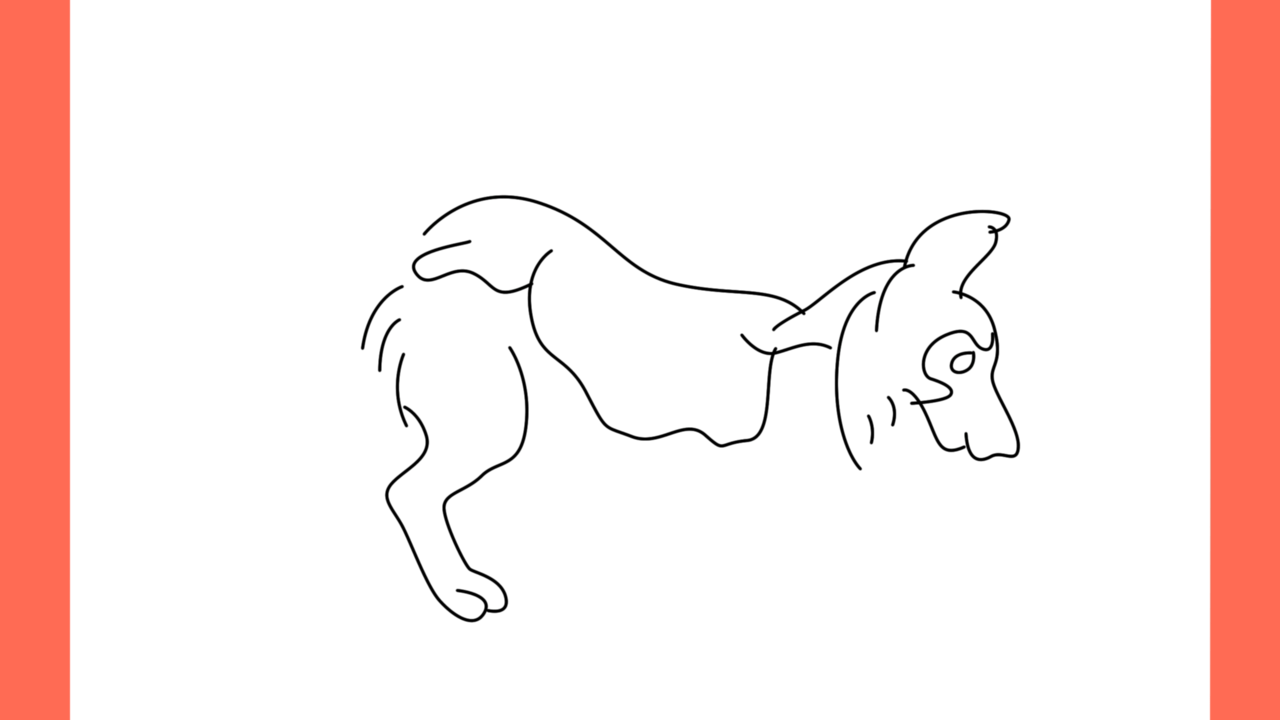Tutoriel de dessin 158 Comment dessiner un shepherd dog (6)