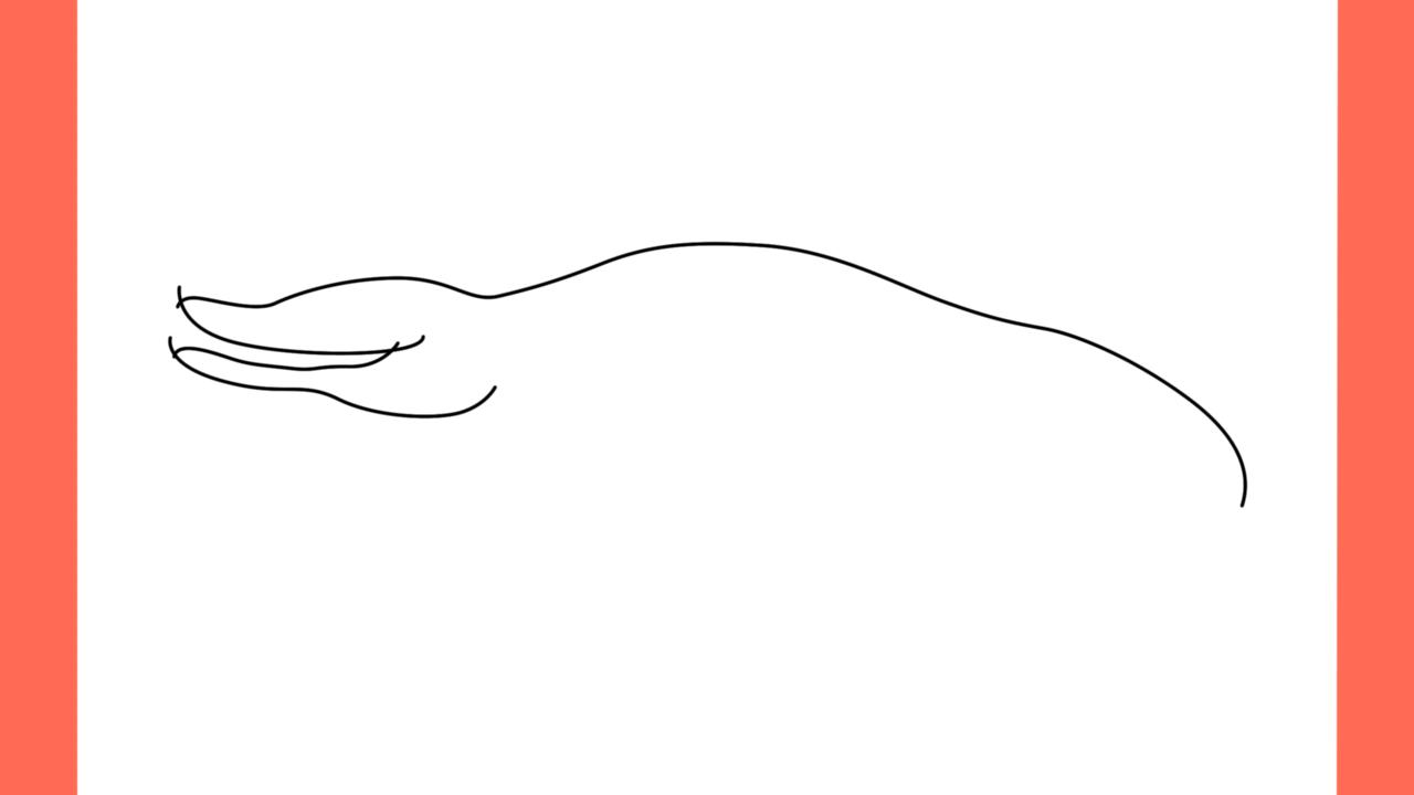 Tutoriel de dessin 161 Comment dessiner un Kronosaurus (3)