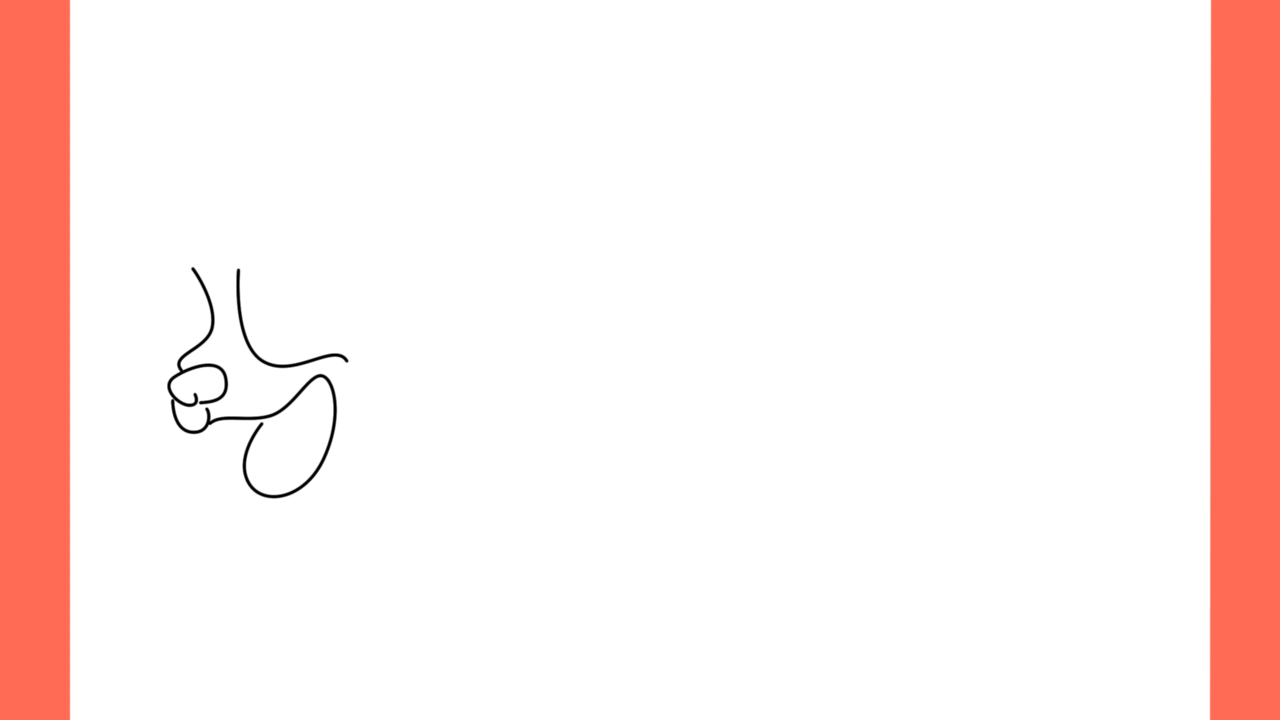 Tutoriel de dessin 166 Comment dessiner une hyène (3)