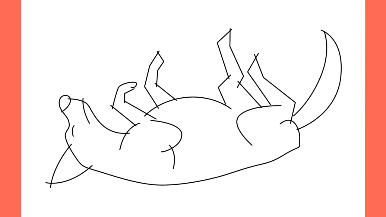 Tutoriel de dessin 181 Comment dessiner un chien allongé sur le dos avec les pattes levées (9)
