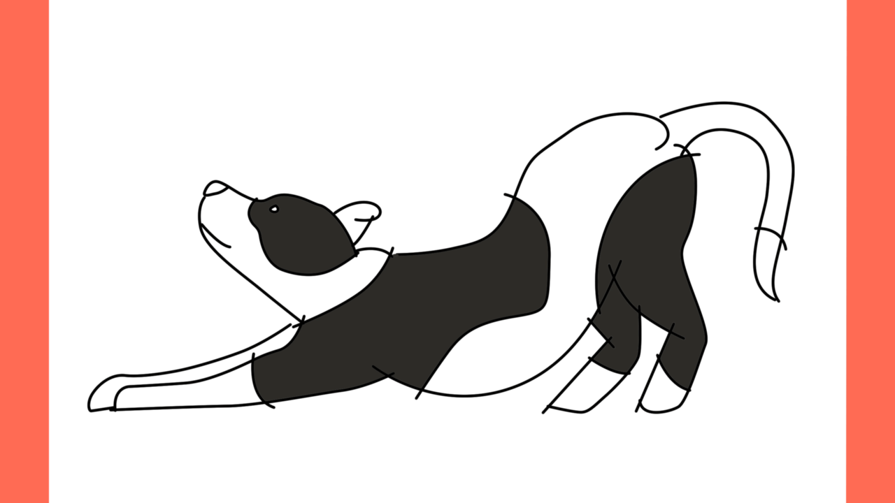 Tutoriel de dessin 185 Comment dessiner un pitbull en train de jouer (10)