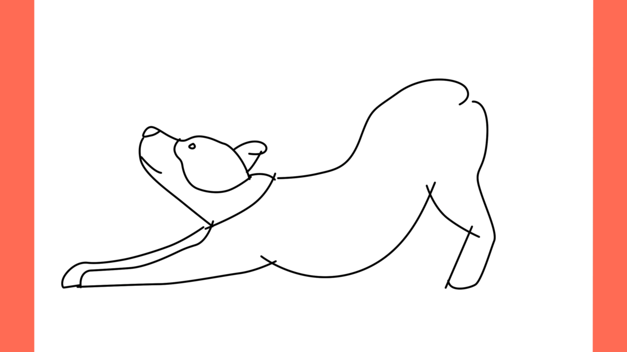 Tutoriel de dessin 185 Comment dessiner un pitbull en train de jouer (6)