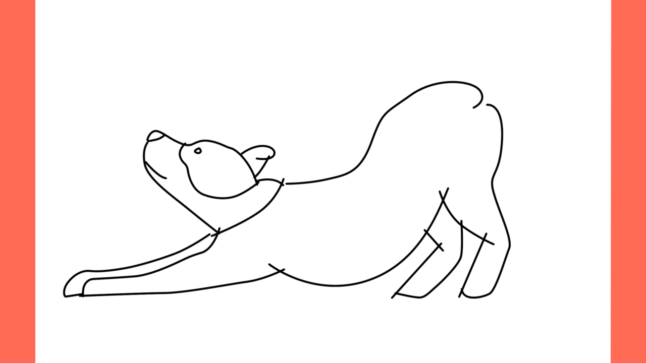 Tutoriel de dessin 185 Comment dessiner un pitbull en train de jouer (7)