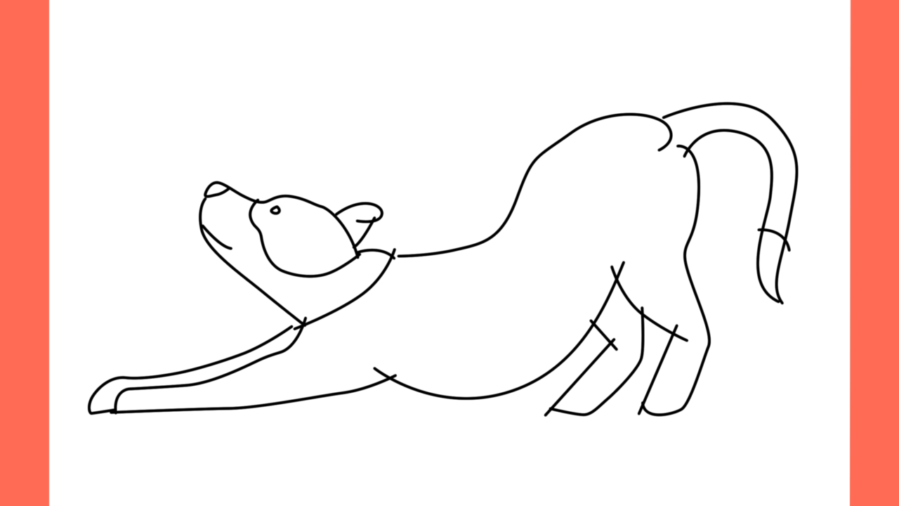 Tutoriel de dessin 185 Comment dessiner un pitbull en train de jouer (8)