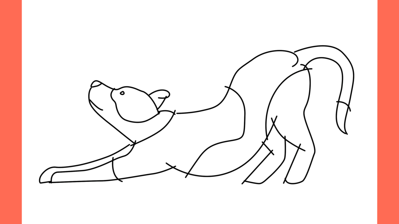 Tutoriel de dessin 185 Comment dessiner un pitbull en train de jouer (9)